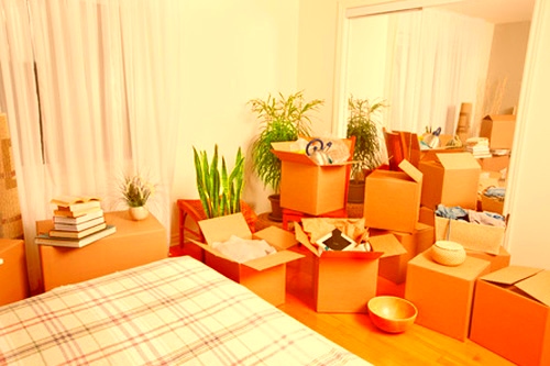 How to Avoid Damaged Items During Home Removals